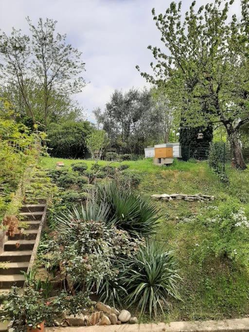 Villa Le 16 Tolosa Esterno foto